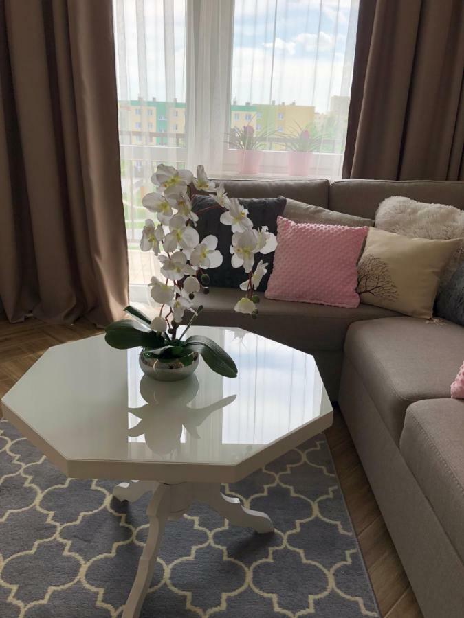 Family & Business Elegant Apartments Ul Warszawska - 2 Bedroom, Balcony, Parking เคียลเซ ภายนอก รูปภาพ